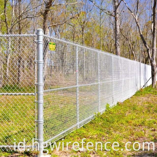 Chain Link Fence